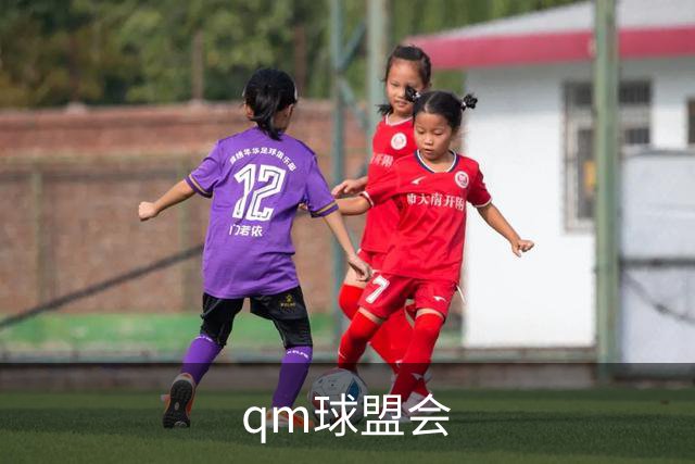 qm球盟会 公司简介